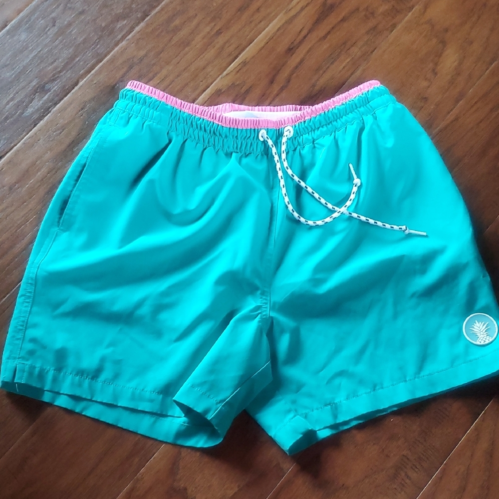 Chubbies Teal Swim Shorts with Pink Accents